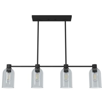 Hunter Lochmeade Smoked Glass 4-Light Linear Chandelier in Natural Iron