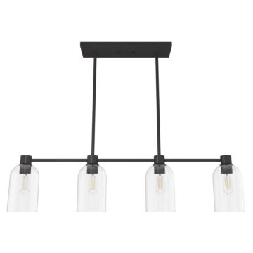 Hunter Lochmeade Clear Seeded Glass 4-Light Linear Chandelier in Noble Bronze