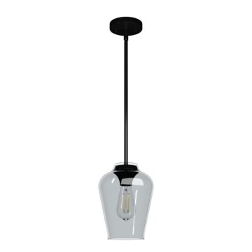 Hunter Vidria Smoked Glass 1-Light 7.25 Inch Mini Pendant in Matte Black