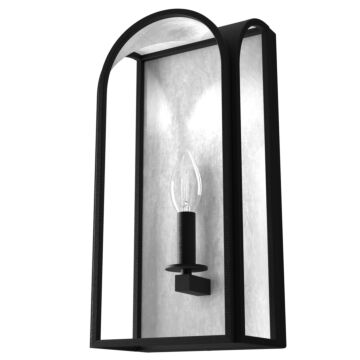 Hunter Dukestown 1-Light Wall Sconce in Natural Iron