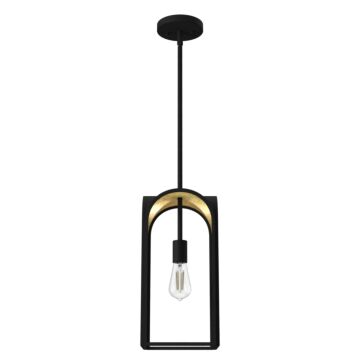 Hunter Dukestown 1-Light Mini Pendant in Natural Iron