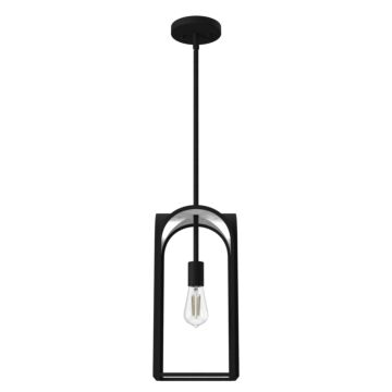 Hunter Dukestown 1-Light Mini Pendant in Natural Iron