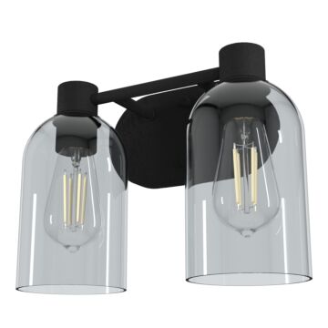 Hunter Lochmeade Smoked Glass 2-Light Bathroom Vanity Light in Natural Iron