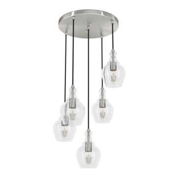 Hunter Maple Park 5-Light Round Cluster in Brushed Nickel