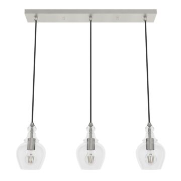 Hunter Maple Park 3-Light Linear Cluster in Brushed Nickel