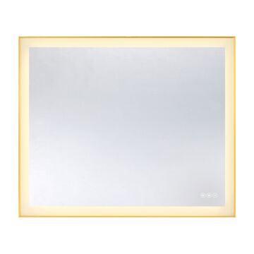Paulding LED Rectangle Frontlit Mirror with Gold Frame