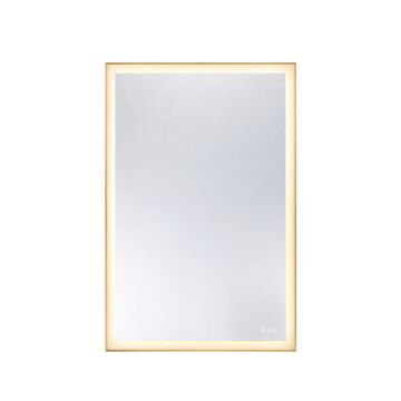 Paulding LED Rectangle Frontlit Mirror with Gold Frame