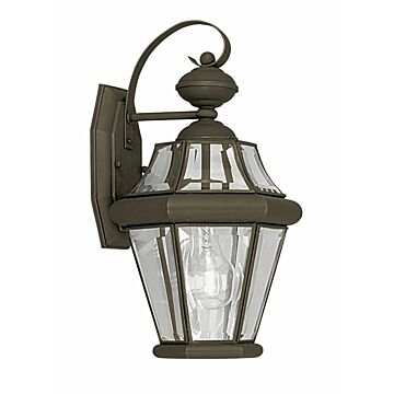 Georgetown 1-Light Outdoor Wall Lantern in Bronze