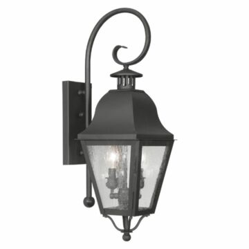 Amwell 2-Light Outdoor Wall Lantern in Black