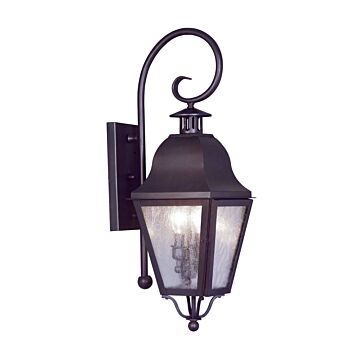 Amwell 2-Light Outdoor Wall Lantern in Bronze