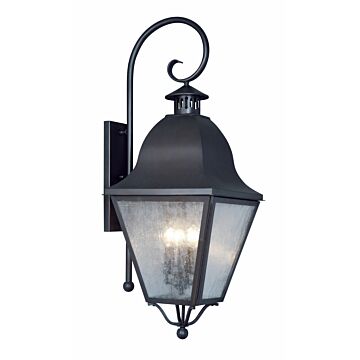 Amwell 4-Light Outdoor Wall Lantern in Black