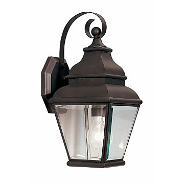 Exeter 1-Light Outdoor Wall Lantern in Bronze