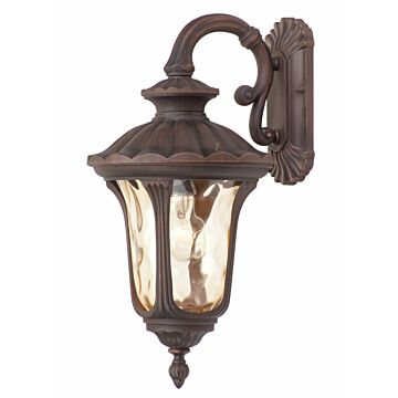 Oxford 1-Light Outdoor Wall Lantern in Hand Applied Imperial Bronze