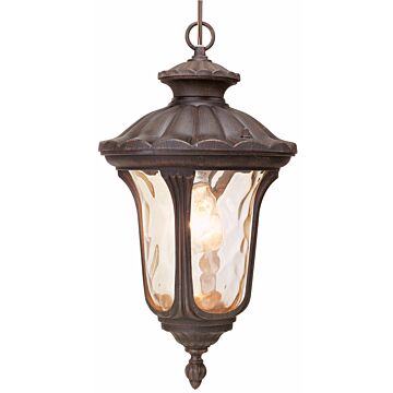 Oxford 1-Light Outdoor Pendant in Hand Applied Imperial Bronze