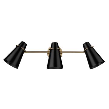 Reeva Three Light Bath Vanity in Modern Brass by Golden