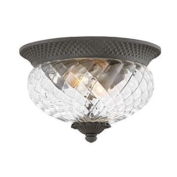 Hinkley Plantation 2-Light Flush Mount Outdoor Ceiling Light In Museum Black