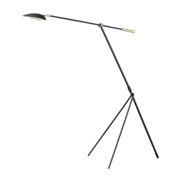 Scan LED Floor Lamp in Black   Satin Brass by Maxim
