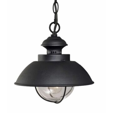 Harwich 1-Light Outdoor Pendant in Textured Black