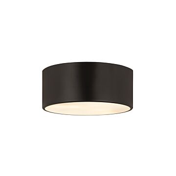 Z-Lite Harley 2-Light Flush Mount Ceiling Light In Matte Black