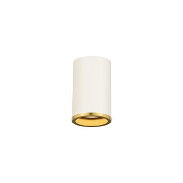 Z-Lite Arlo 1-Light Flush Mount Ceiling Light In Matte White With Rubbed Brass