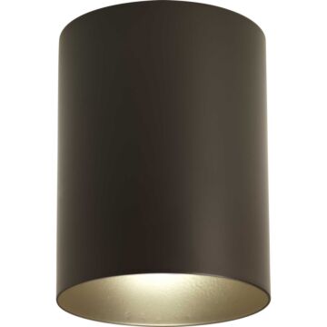 Cylinder 1-Light Outdoor Ceiling Mount in Antique Bronze