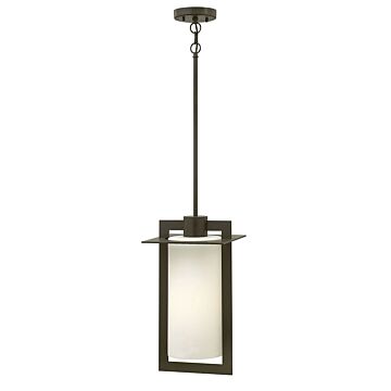 Hinkley Colfax 1-Light Outdoor Light In Bronze