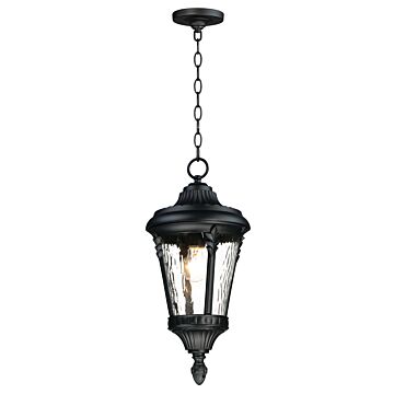 Sentry One Light Outdoor Hanging Lantern in Black by Maxim