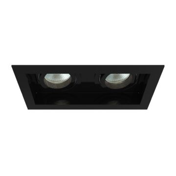 Eurofase Amigo 2-Light Recessed Light in Black