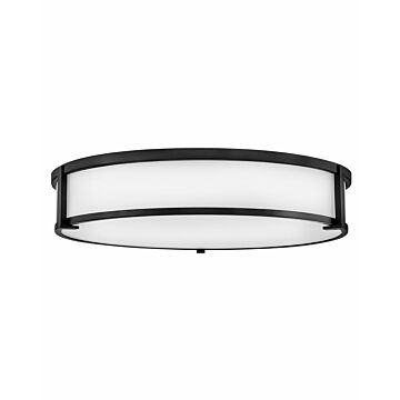 Hinkley Lowell 4-Light Flush Mount Ceiling Light In Black