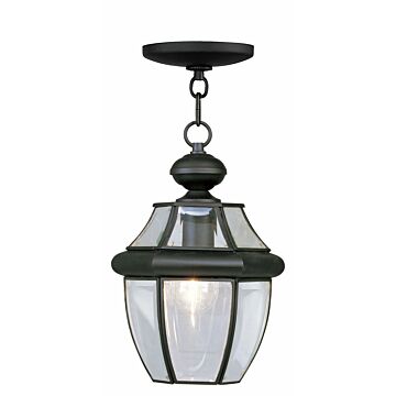 Monterey 1-Light Outdoor Pendant in Black