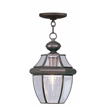 Monterey 1-Light Outdoor Pendant in Bronze