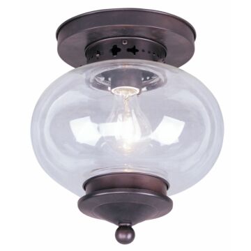 Harbor 1-Light Ceiling Mount in Bronze