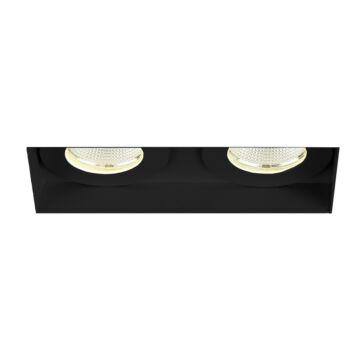 Eurofase Amigo 2-Light Ceiling Light in Black