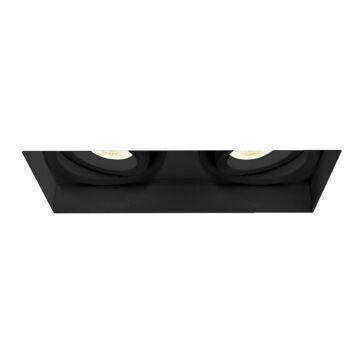 Eurofase Amigo 2-Light Ceiling Light in Black