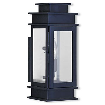 Princeton 1-Light Outdoor Wall Lantern in Bronze w with Polished Chrome Stainless Steel