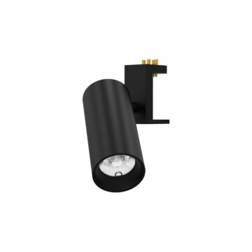 Eurofase Mucci 1-Light Ceiling Light in Black