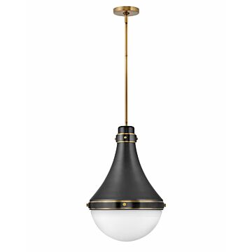 Hinkley Oliver 1-Light Pendant In Black