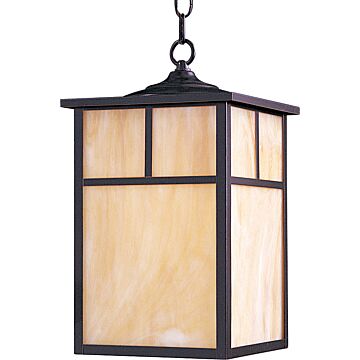 Coldwater One Light Outdoor Hanging Lantern in Burnished by Maxim