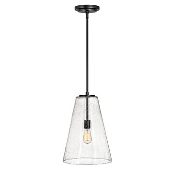 Hinkley Vance 1-Light Pendant In Satin Black