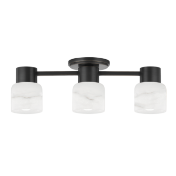 Centerport 3-Light Bathroom Vanity Light