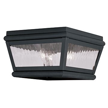 Exeter 2-Light Outdoor Ceiling Mount in Black