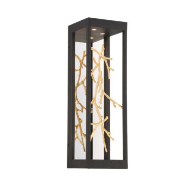 Aerie 4-Light LED Wall Sconce in Black And Gold