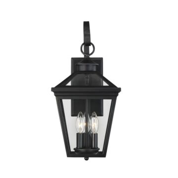 Ellijay Three Light Wall Lantern in Black by Savoy House