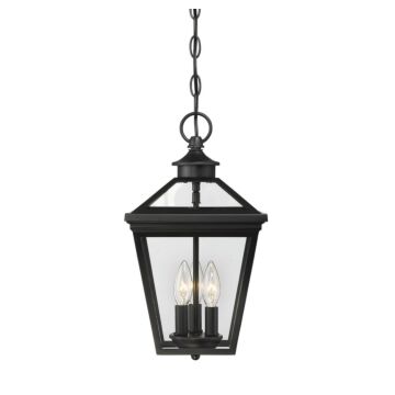 Ellijay Three Light Hanging Lantern in Black by Savoy House