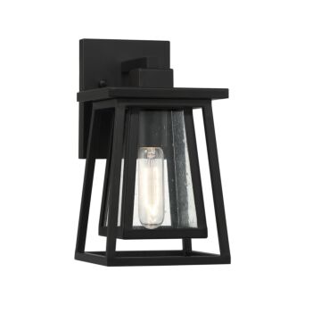Denver One Light Outdoor Wall Lantern in Matte Black by Savoy House
