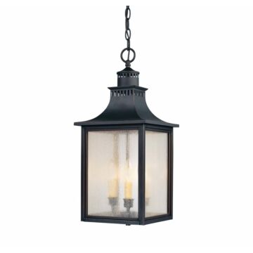 Monte Grande Three Light Hanging Lantern in Slate by Savoy House
