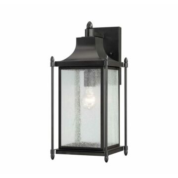 Dunnmore One Light Wall Mount in Black by Savoy House