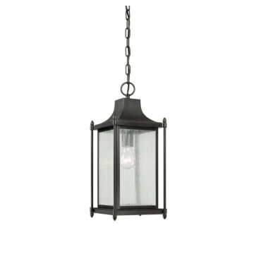 Dunnmore One Light Hanging Lantern in Black by Savoy House