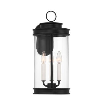 Englewood Three Light Outdoor Wall Lantern in Matte Black by Savoy House