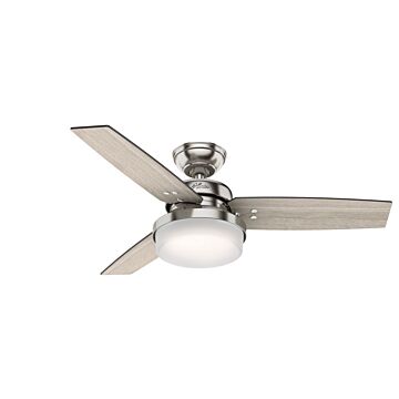 Sentinel 2-Light 44" Ceiling Fan in Brushed Nickel
